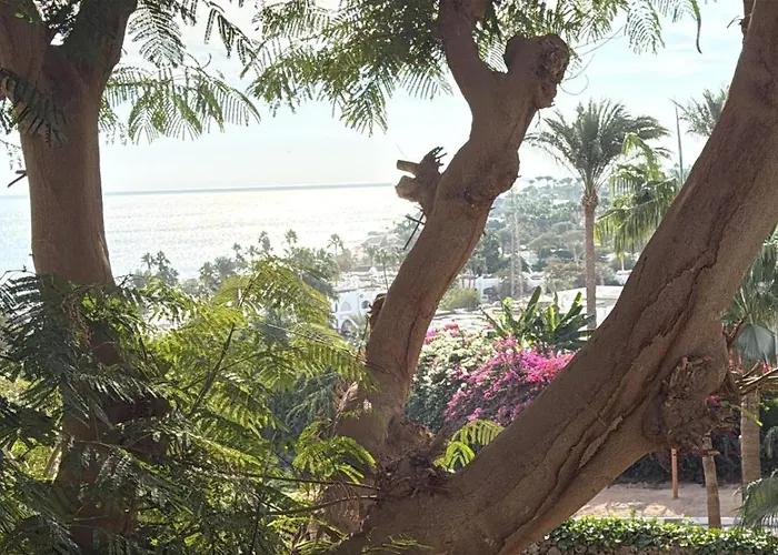 Oasi Coral Bay Sheikh شقة *